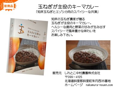 画像1: 玉ねぎが主役のキーマカレー　4箱　レターパックセット